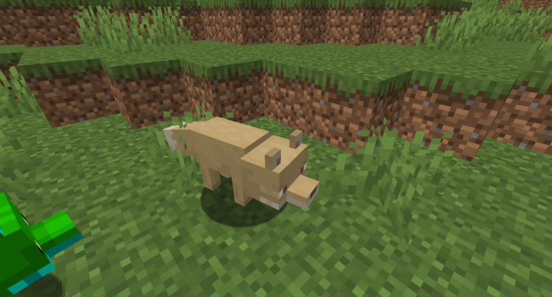 Desert Fox